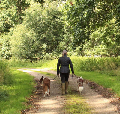 Why walking your dog is good for your health